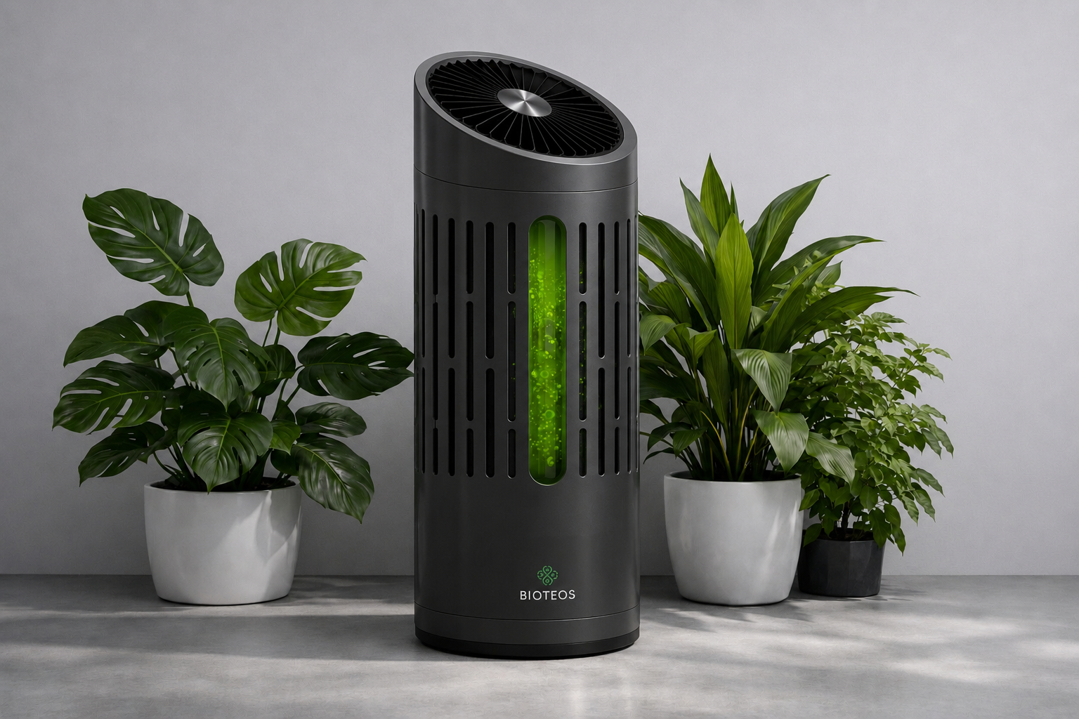OXYLON 400 entre deux plantes vertes