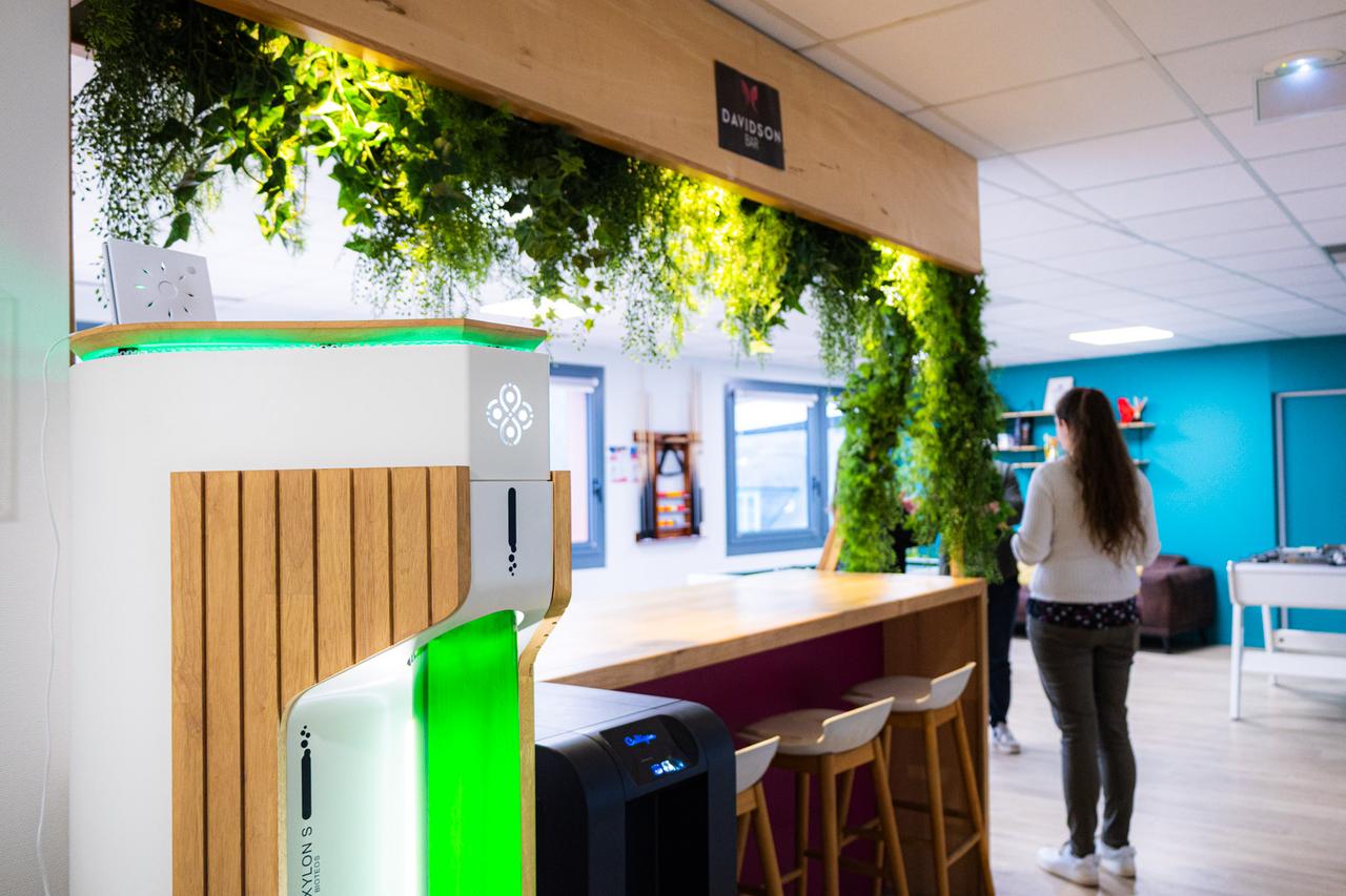 OXYLON installé chez DAVIDSON - végétalisation et purificateur