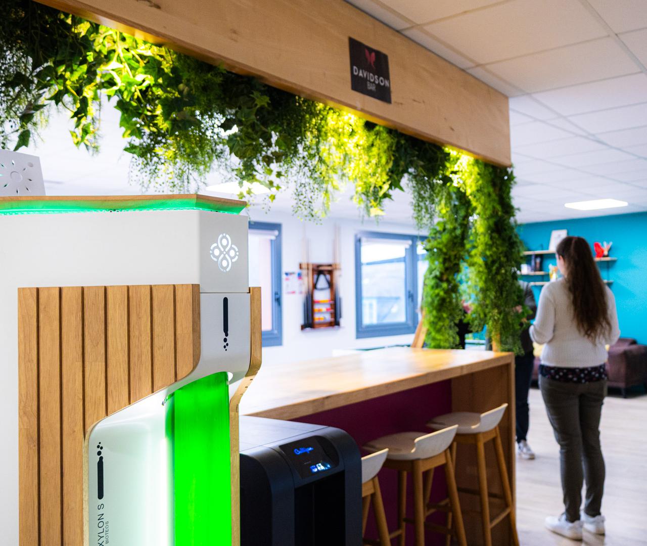 OXYLON installé chez DAVIDSON - végétalisation et purificateur