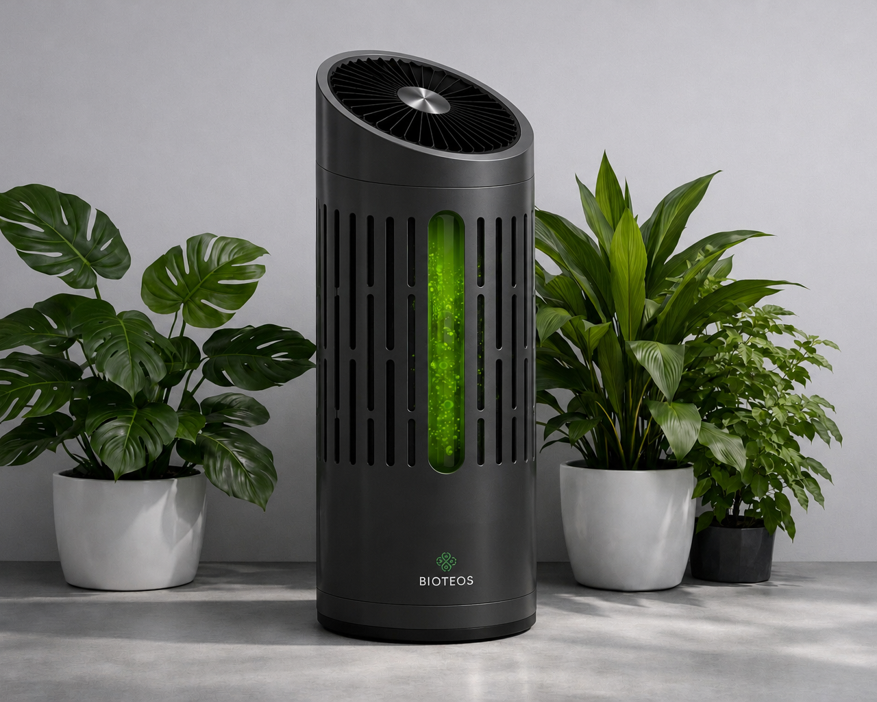OXYLON 400 entre deux plantes vertes
