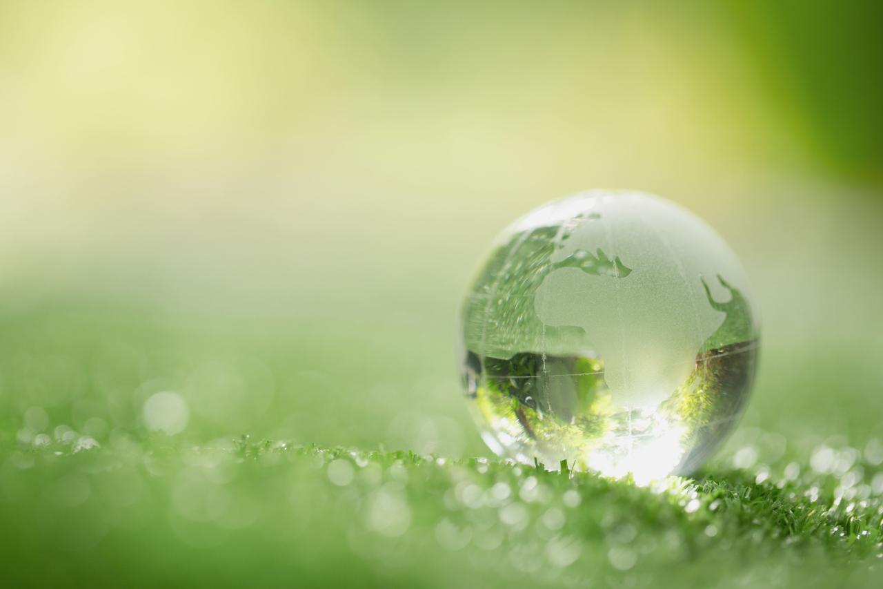 bulle sur l'herbe